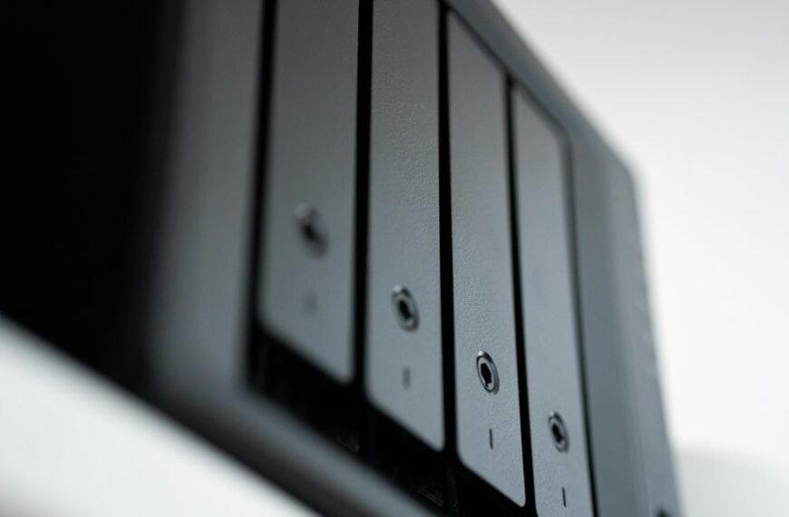 digital platform backup process